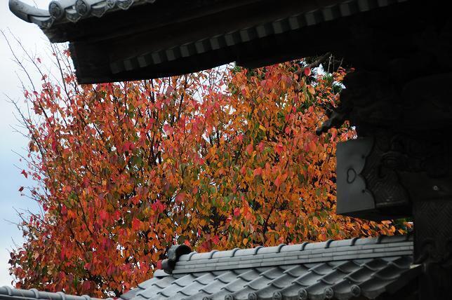1お寺.jpg